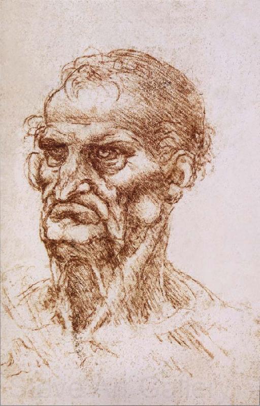 LEONARDO da Vinci Study of an old man Norge oil painting art